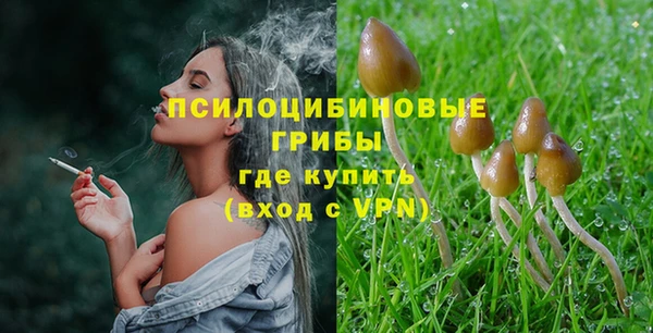 амф Среднеколымск