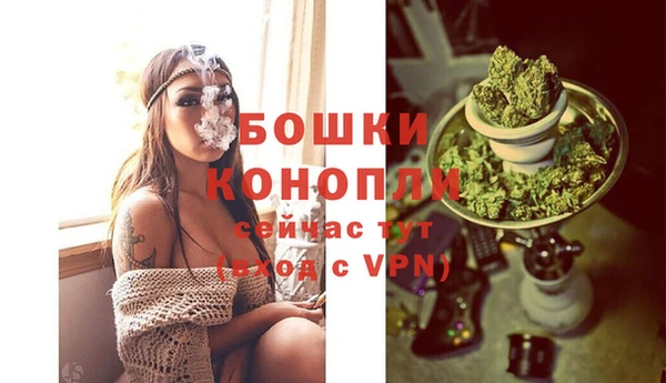 мескалин Новодвинск