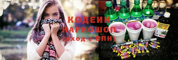 спайс Аша