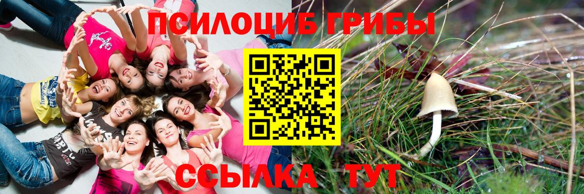 Галлюциногенные грибы мицелий Саратов